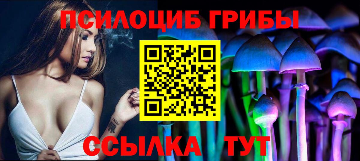 Псилоцибиновые грибы мухоморы Новоалтайск